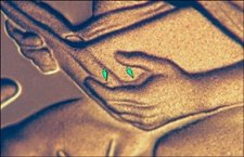 Proof 2009 Doubled Die Lincoln Cent #01
