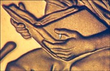 Proof 2009 Doubled Die Lincoln Cent #04