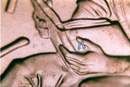2009 Doubled Die Lincoln Cent #44