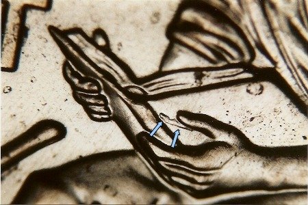 2009 Doubled Die Lincoln Cent #52