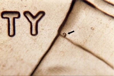 2009 Doubled Die Lincoln Cent #01